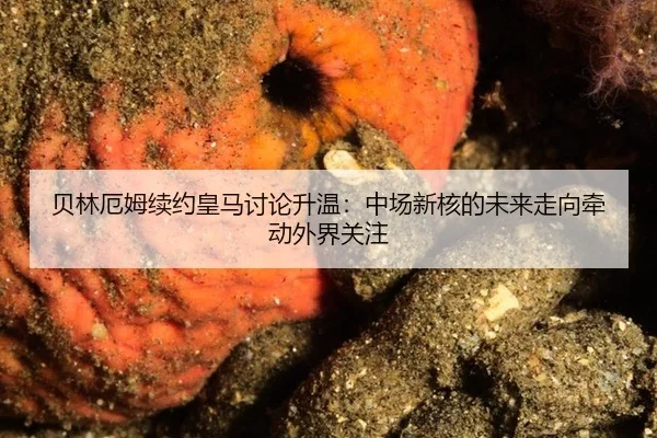 bei-lin-e-mu-xu-yue-huang-ma-tao-lun-sheng-wen-zhong-chang-xin-he-de-wei-lai-zou-xiang-qian-dong-wai-jie-guan-zhu-2-176.jpg